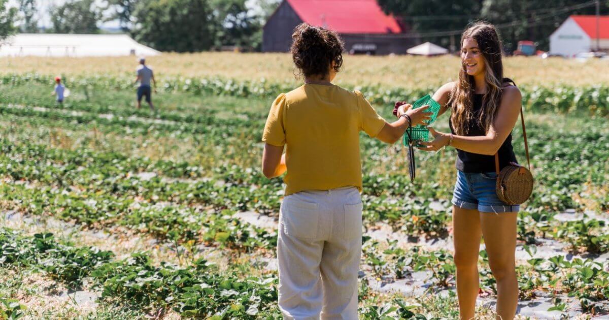 Looking for a better quality of