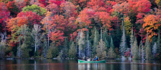 Fall Colours and a canoe
