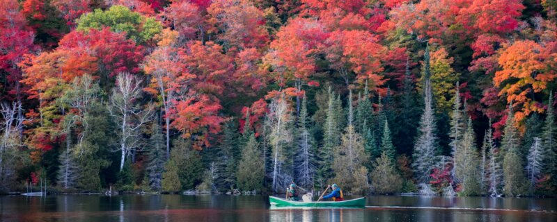 Fall Colours and a canoe
