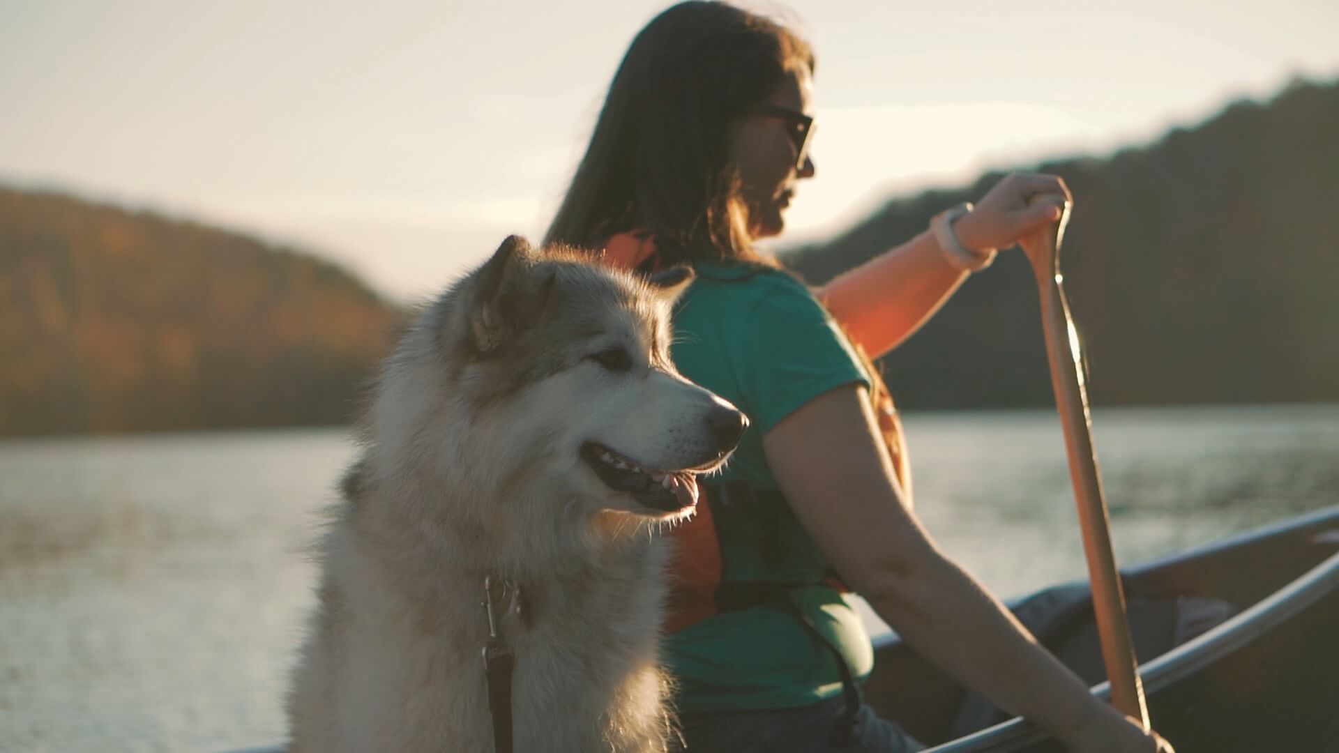 Why Did We Move To Sault Ste. Marie?