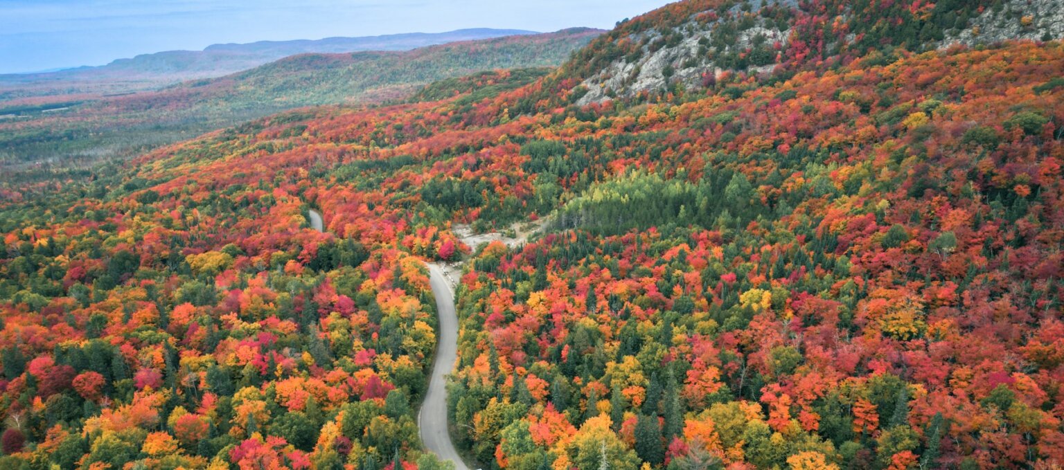 Bellevue Valley Road in the fall