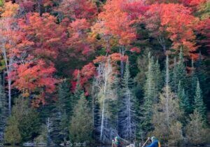 Fall Colours and a canoe